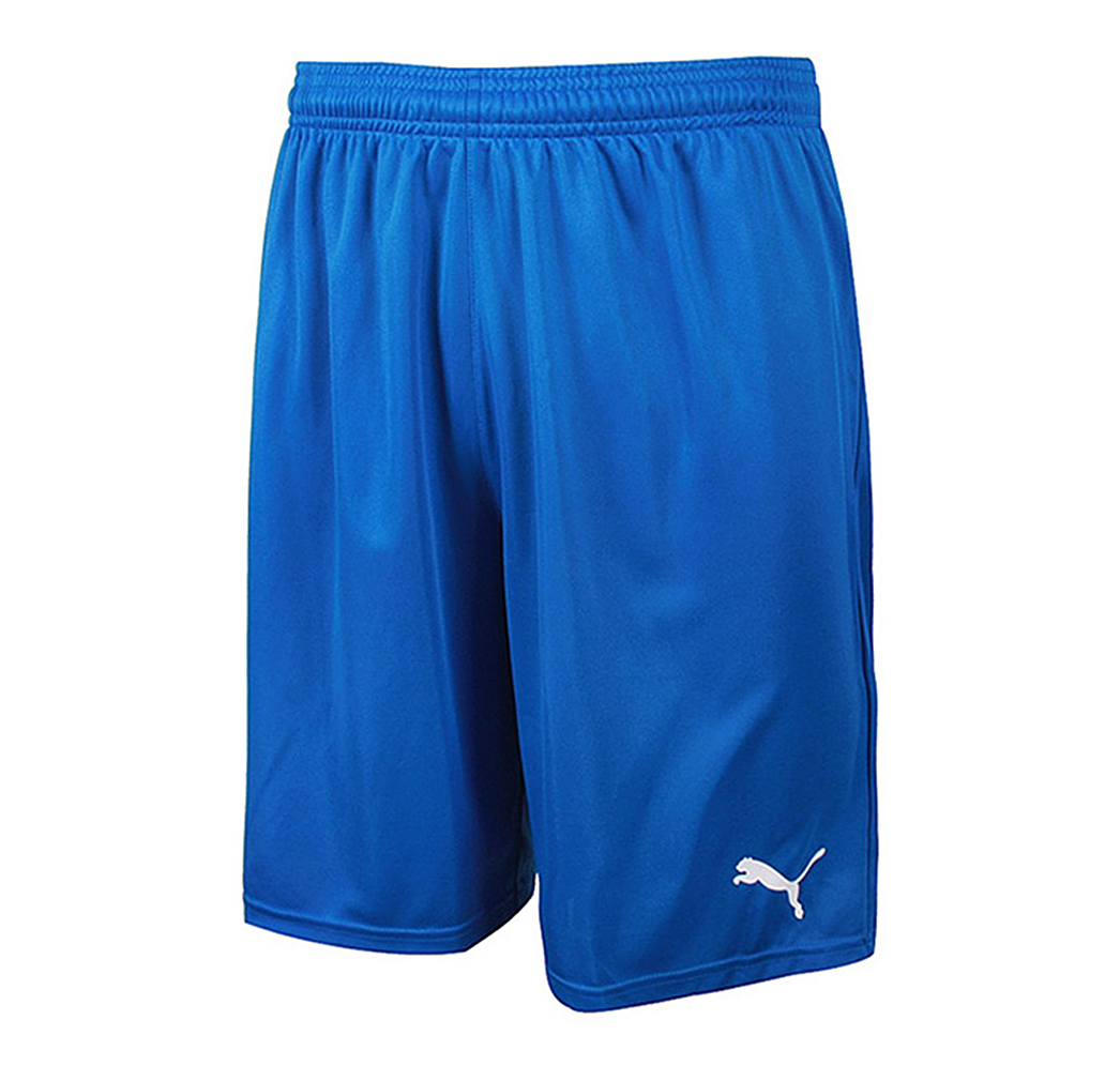 PUMA Herren BTS Shorts Pants Fussball Soccer DryCELL 654416 02