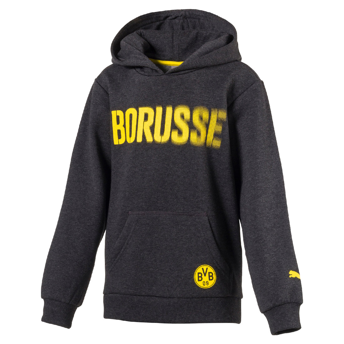 Puma BVB Borussia Graphic Hoody Kinder Sweatshirt Dortmund 09 grau 752180 02