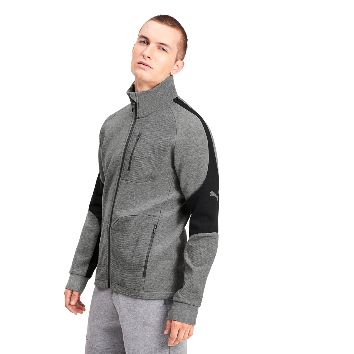 PUMA Herren Evostripe Jacket  Pullover Sweatshirt Trainingsjacke 580095 03 Grau