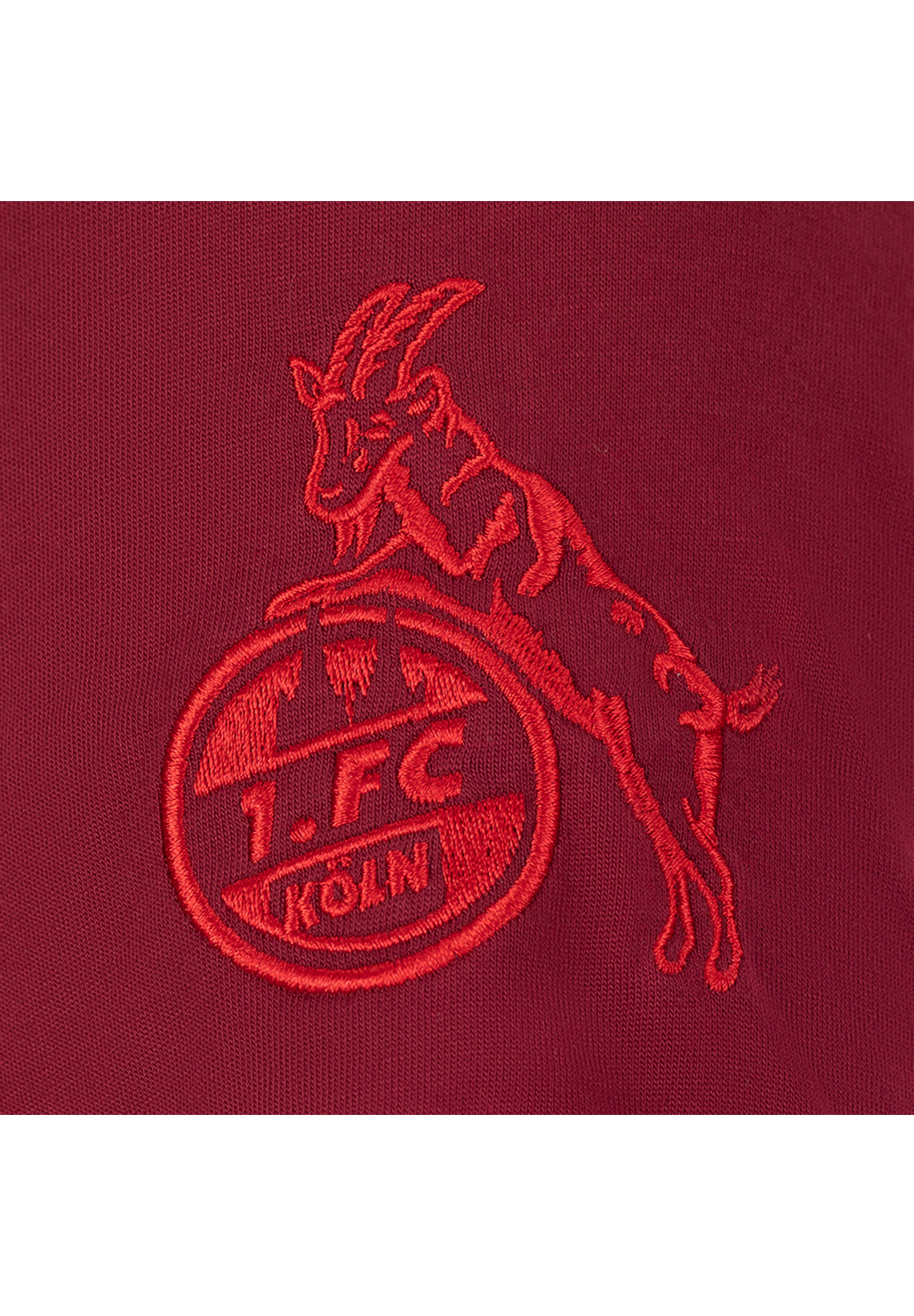 Uhlsport 1.FC Köln Karneval Tee KA Pro 2021/2022