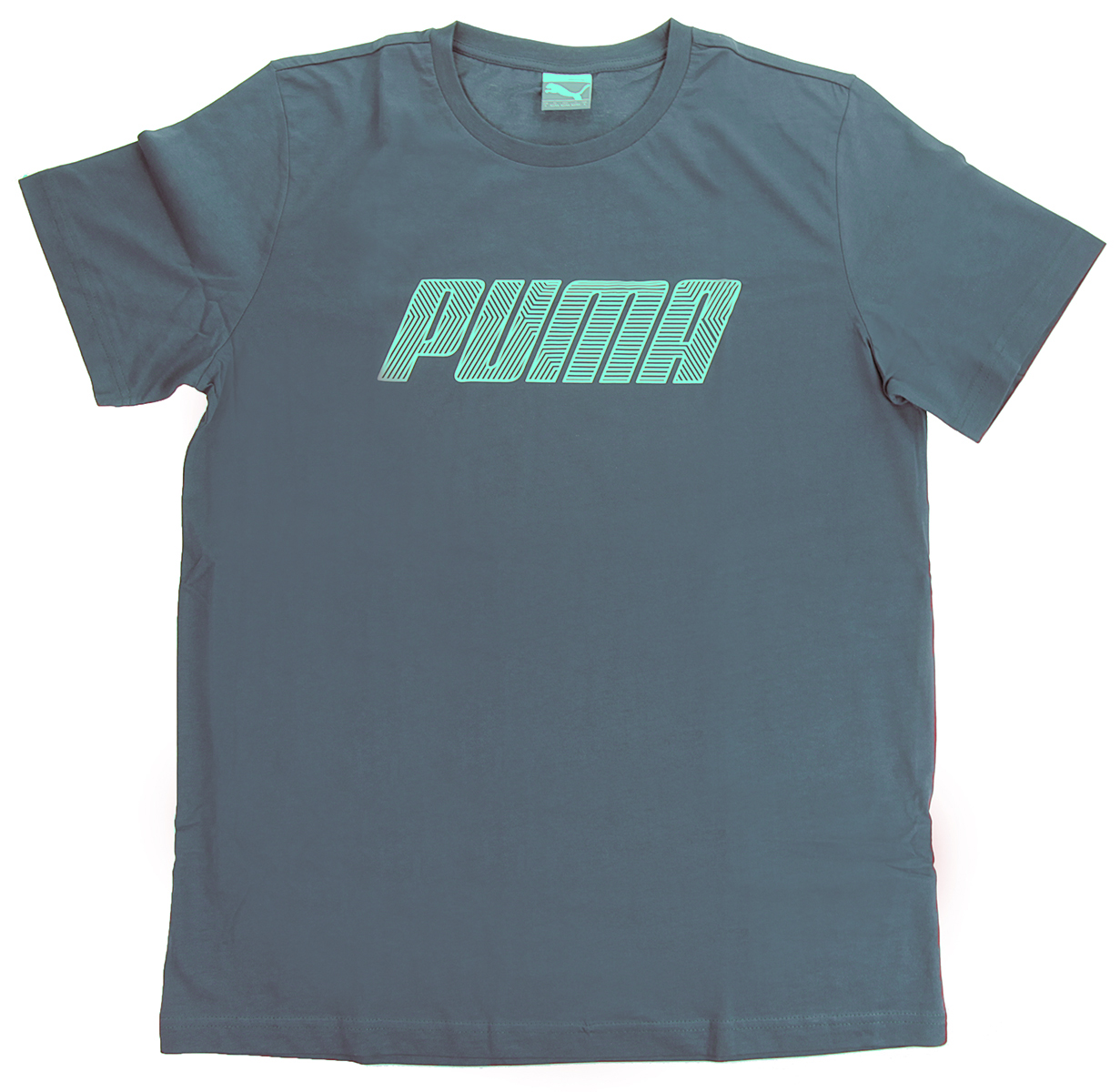 PUMA Herren Graphic Logo Tee T-Shirt 834067 02 blau