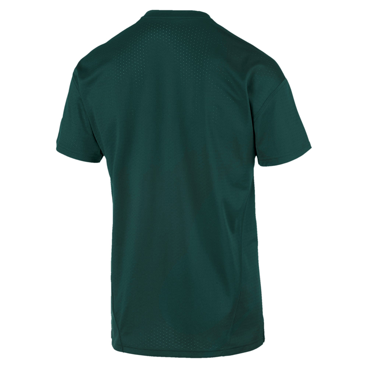 PUMA Herren A.C.E. SS Tee T-Shirt DryCELL grün 516648