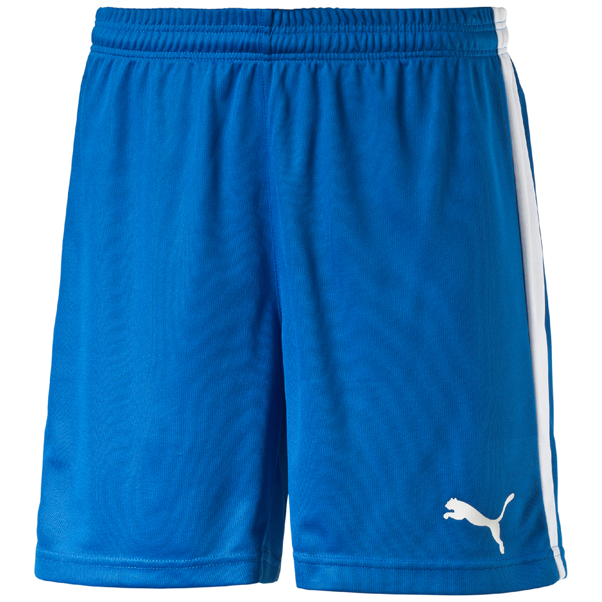 PUMA Herren Pitch Shorts Hose Pants 702072 02 Blau Sporthose Fussball