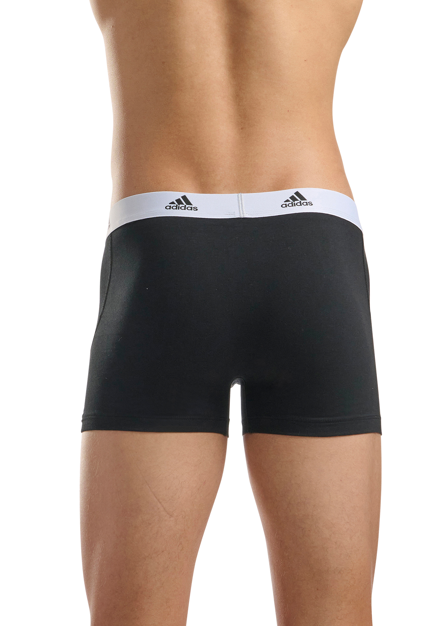 6er Pack Adidas Basic Trunk Men Herren Unterhose Shorts Unterwäsche 6er Pack 